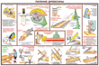 ПС09 Безопасность труда при деревообработке (ламинированная бумага, А2, 5 листов)